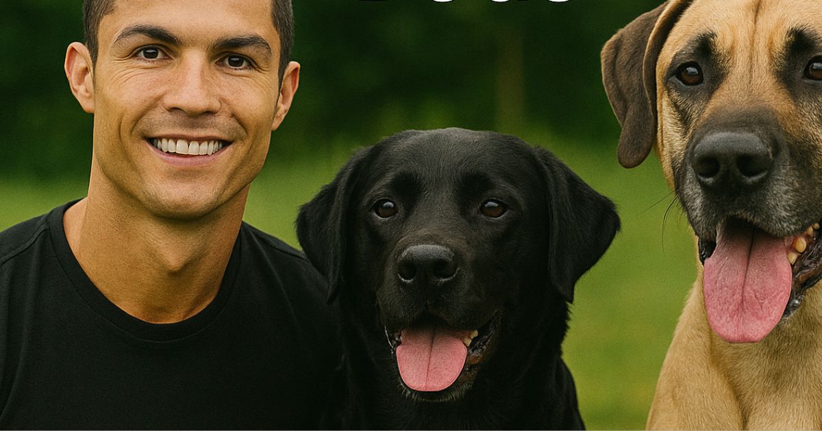 Does Cristiano Ronaldo Have a Dog? Meet His 5 Pets (Photos & Stories)