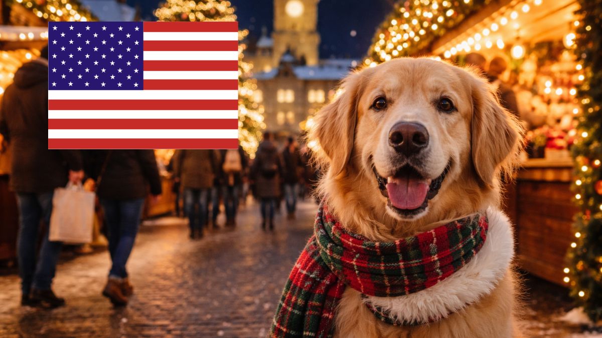 10 Dog-Friendly Christmas Markets in the USA You Can Visit with Your Dog (2025 Guide)