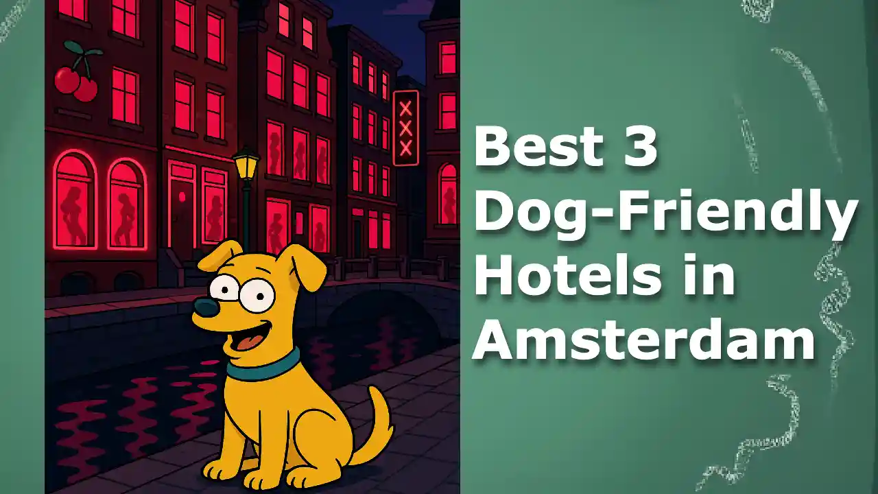 Best 3 Dog-Friendly Hotels in Amsterdam Under €50