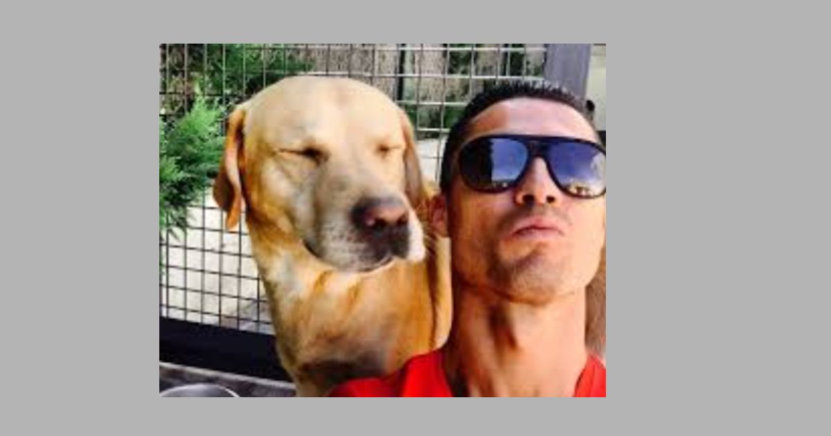 Marosca – The Original CR7 Labrador